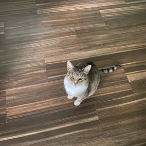 Meet your Posher, Abigail